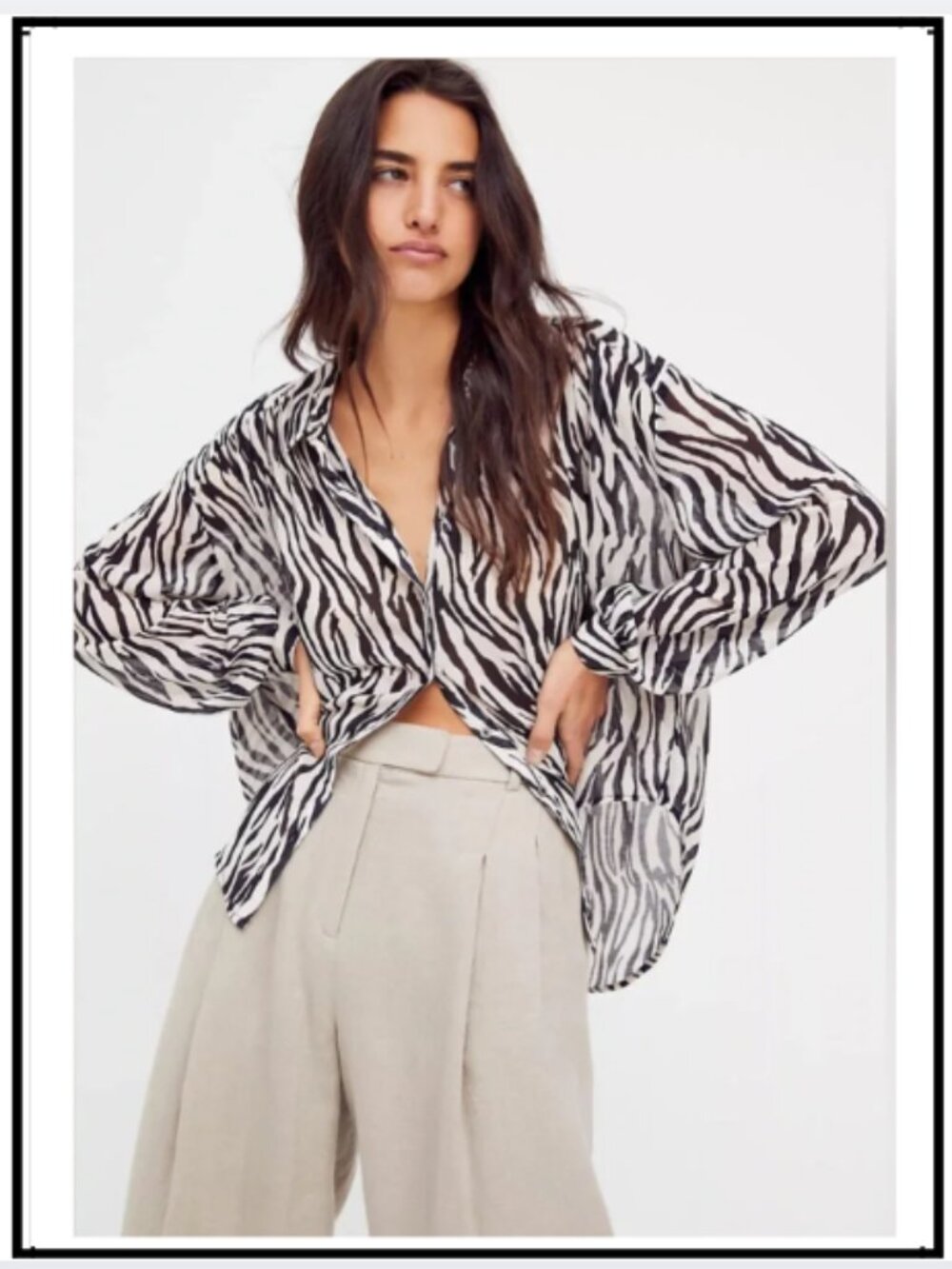 Free People Ciara Zebra Printed Button Down Blouse Sheer Black/White